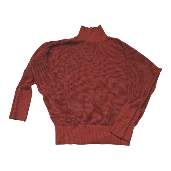 Dynamite Sweaters - Dynamite rust orange dolman sleeve mesh knit mockneck sweater